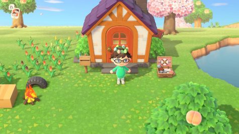 My own characters house in Animal Crossing: New Horizons. Taken from Danielle Thurmans Nintendo Switch.