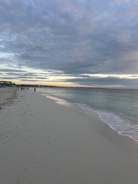 Spring Break Safety Alert: Rising Cartel Violence May Put Students at Risk